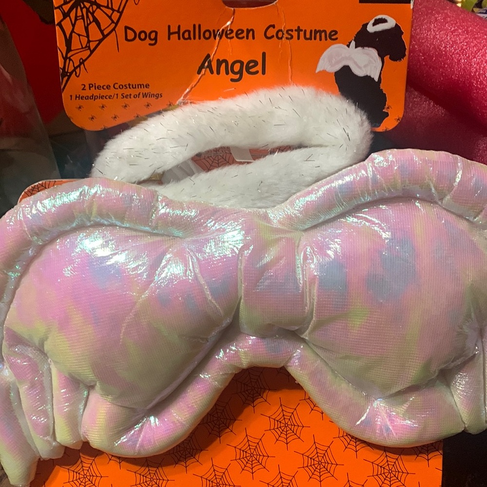 Angel dog costume